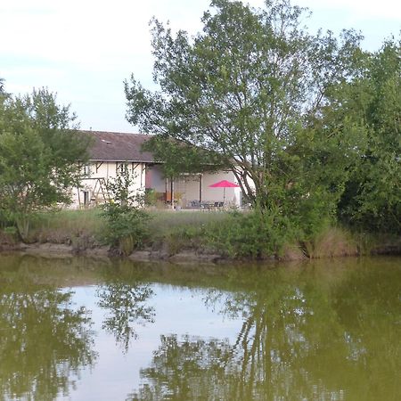 Gites Domaine De La Rochere Domsure Kültér fotó