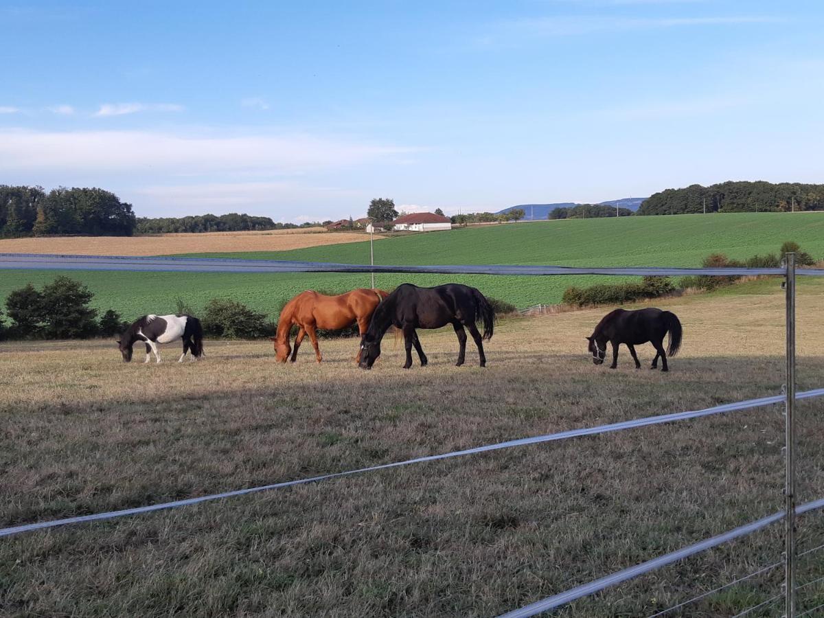 Gites Domaine De La Rochere Domsure Kültér fotó