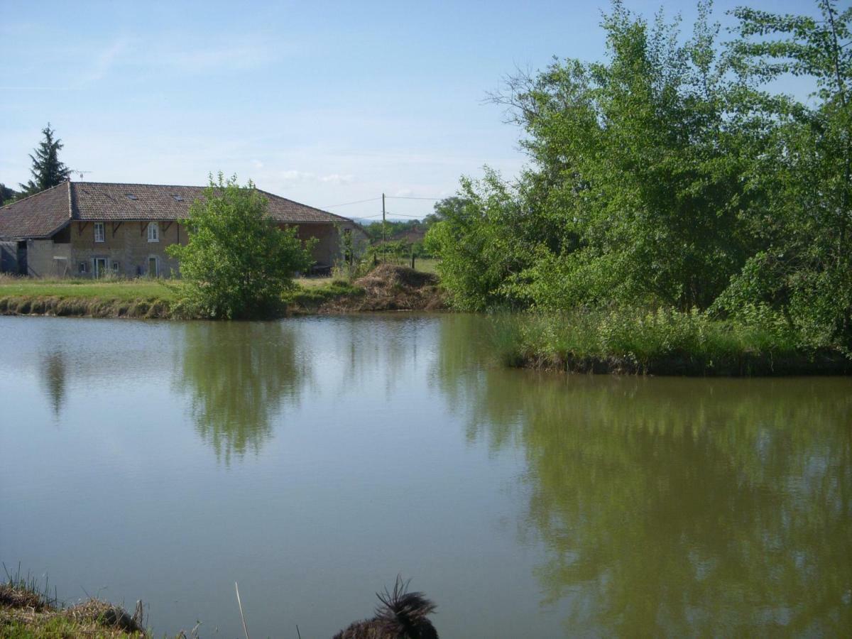 Gites Domaine De La Rochere Domsure Kültér fotó